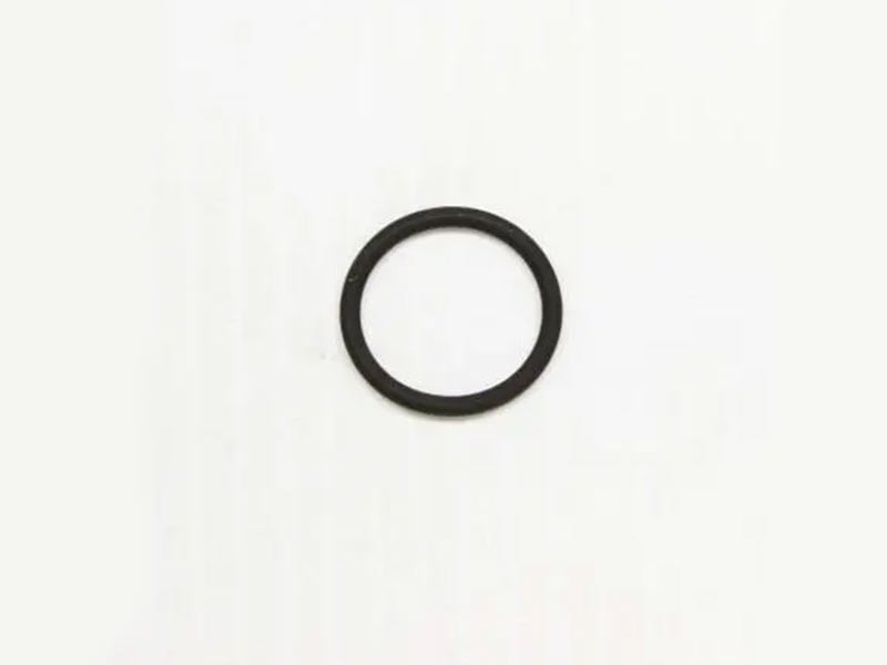 Delonghi Gasket (5325111100).jpg